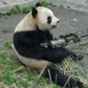 Meet your Posher, Joyce